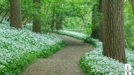 Daslookwandeling