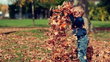 7 x doen, zien of lezen in de herfstvakantie