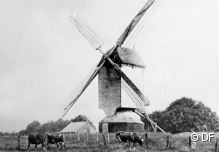 Voordracht Molens en molenaars in Laakdalse verleden door Glen Van Meeuwen