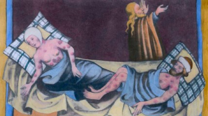 Haestighe Sieckten. Epidemieën in de Lage Landen