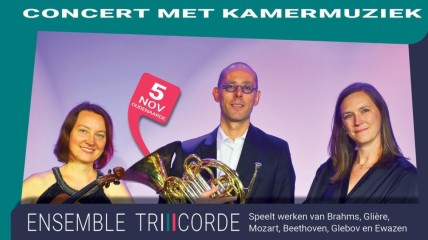 kamermuziek door ensemble TRiCORDE