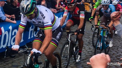 Ronde van Vlaanderen met car en gids oud wielrenner Nico Mattan.