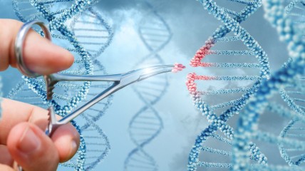 Het genetisch geheugen. Wat DNA ons leert over ons verleden