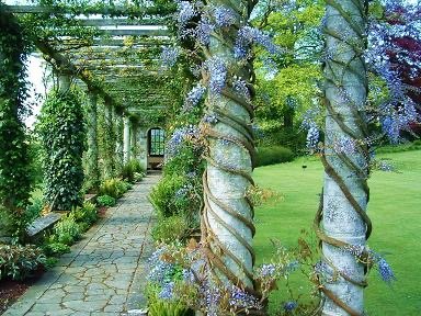 WEST DEAN GARDENS