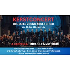 BRUSSELS YOUNG ADULT CHOIR