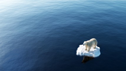 Bedreigde koralen, vurige gassen en nog veel meer: een klimaat-doe-workshop!