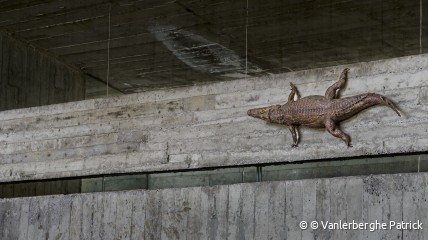 Verhalenwandeling "Bijgeloof en volksverhalen"