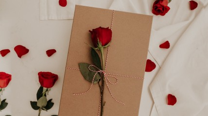 Soulmates, het ontstaan van de liefde