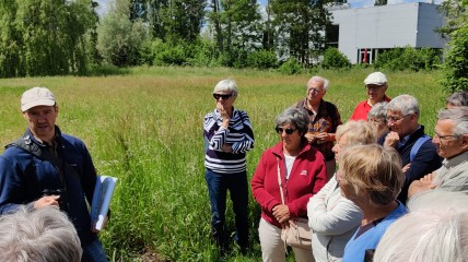Natuuractiviteit: Canisvliet (Westdorpe)