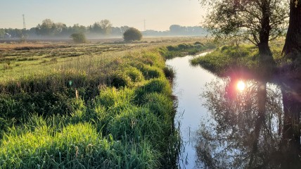 Dauwwandeling in Vierselse natuur