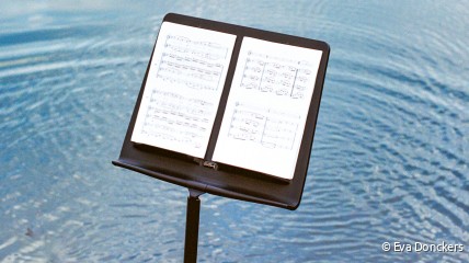 ZOMERCURSUS - STROOM - Festival in de Scheldevallei