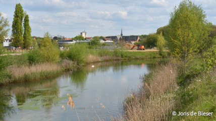 Ringpark Het Schijn en de Oosterweelverbinding