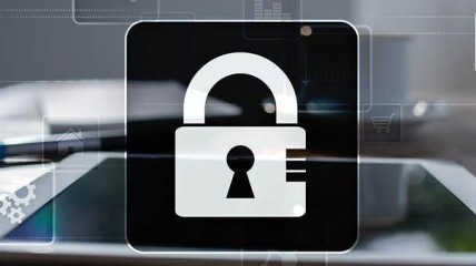 "Computerfraude" door Nico Cool