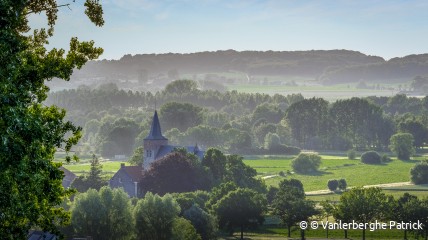 Zomeravondwandeling: Langs de Oude Schelde over de Koppenberg