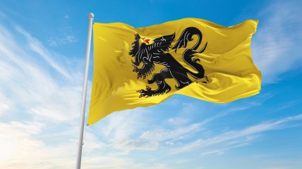 De Vlaamse Beweging van 1830 tot vandaag.