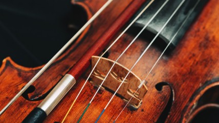 Concert Anima Eterna: Promenade Parisienne