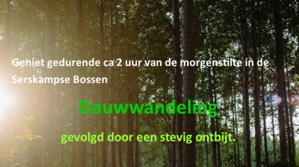 Dauwwandeling