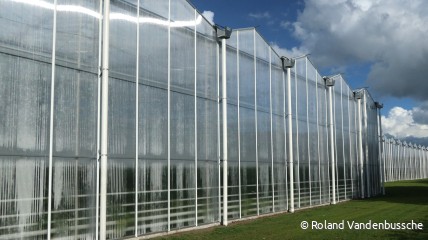 Woensdag 10 juni: Bezoek Agrotopia en REO-veiling te Roeselare.