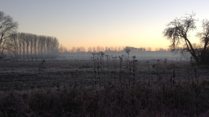 Dauwwandeling met ontbijtbuffet