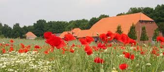 Bezoek aan de plantentuin van de Kleine Boerderij in Merksplas
