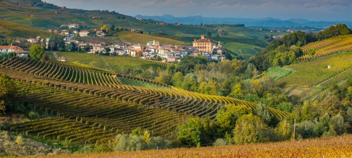 piemonte blog banner.jpg