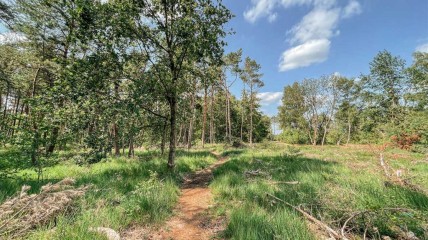 195ste eerstevrijdagwandeling