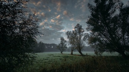 Vroegmorgenwandeling