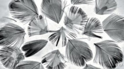 Bezoek tentoonstelling 'Kennis in Zicht: 600 jaar KUL'