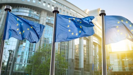 De Europese Unie. De schaduw van een geschiedenis.