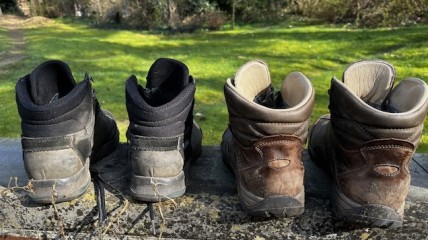 Gegidste wandeling langs de grafheuvels in Weelde.