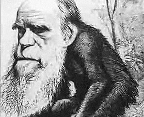PaStory | Evolutietheorie en feminisme