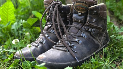 Zomerwandelingen 2024