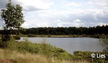 194ste eerstevrijdagwandeling