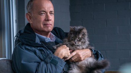 F'L!NK: A man called Otto