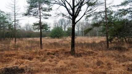 Wandeling Breeven