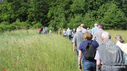 Gegidste Warandewandeling Tervuren