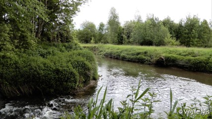 Cultuur in de natuur: muzikale wandeling door de Doode Bemde