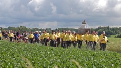 Davidsfonds Ronse denkt mee na over toekomst Sint-Hermesommegang