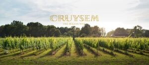 Bedrijf in de kijker: Wijndomein Cruysem