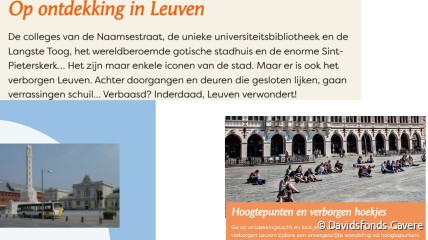 Rondleiding met gids in Leuven