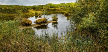 vloethemveld