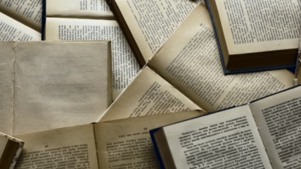 NIEUW - Literatuur die ertoe doet