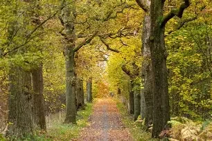 WANDELING MET EEN +