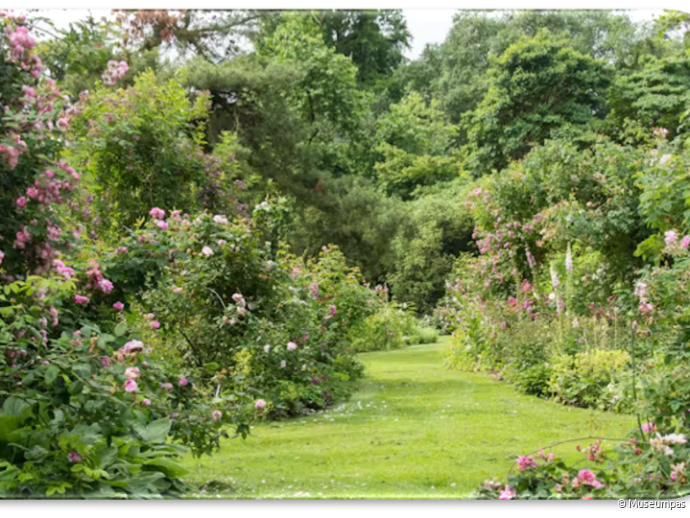 parkzicht met bloeiende planten