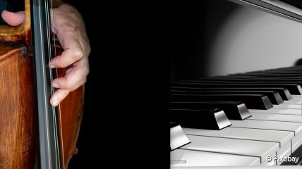 CONCERT 'JONGE WOLVEN'