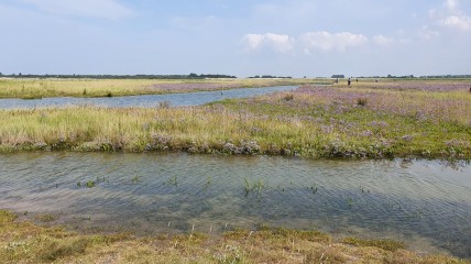 Voor jou gezien: Verdwenen Zwinhavens
