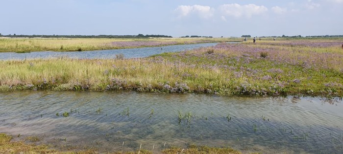 Zwin Knokke-Heist
