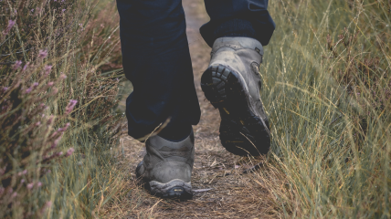 Vroege morgenwandeling te Kemmel