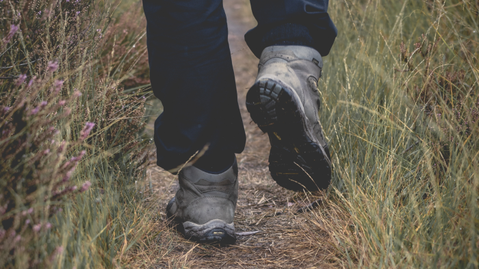 Wandeling_1
