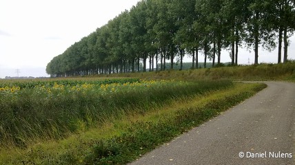 Daguitstapje naar het MEETJESLAND - DF Vorst